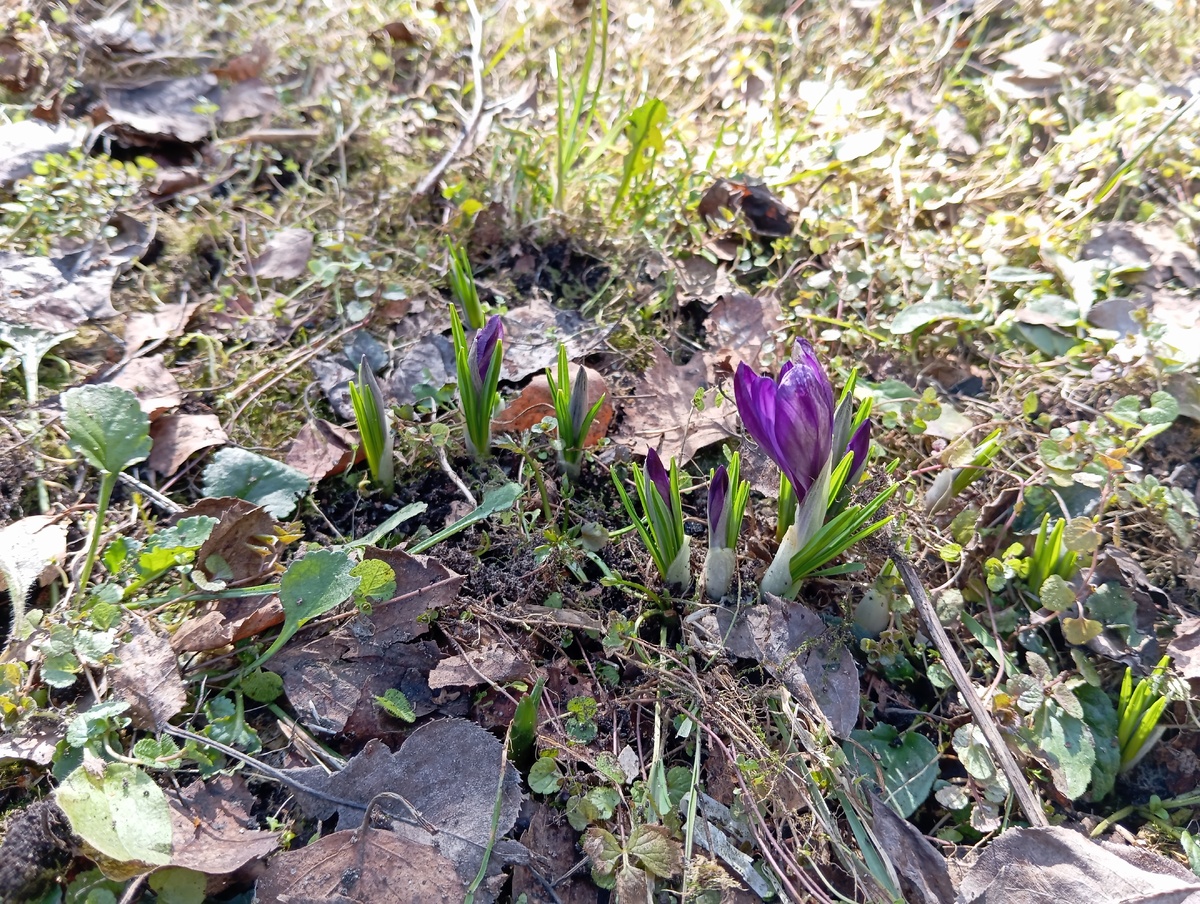Не будем о грустном