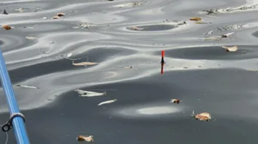 Рыбалка на поплавок ранней весной. Источник фото immunocap.ru