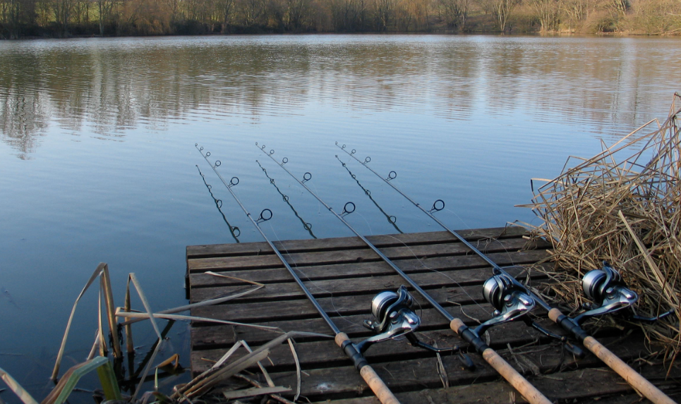 Удилище для рыбалки. Источник фото stroitelsport.ru