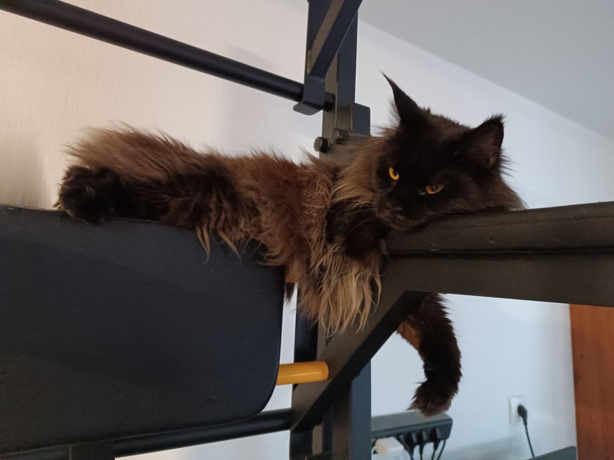 Вот она сестра, грустновая