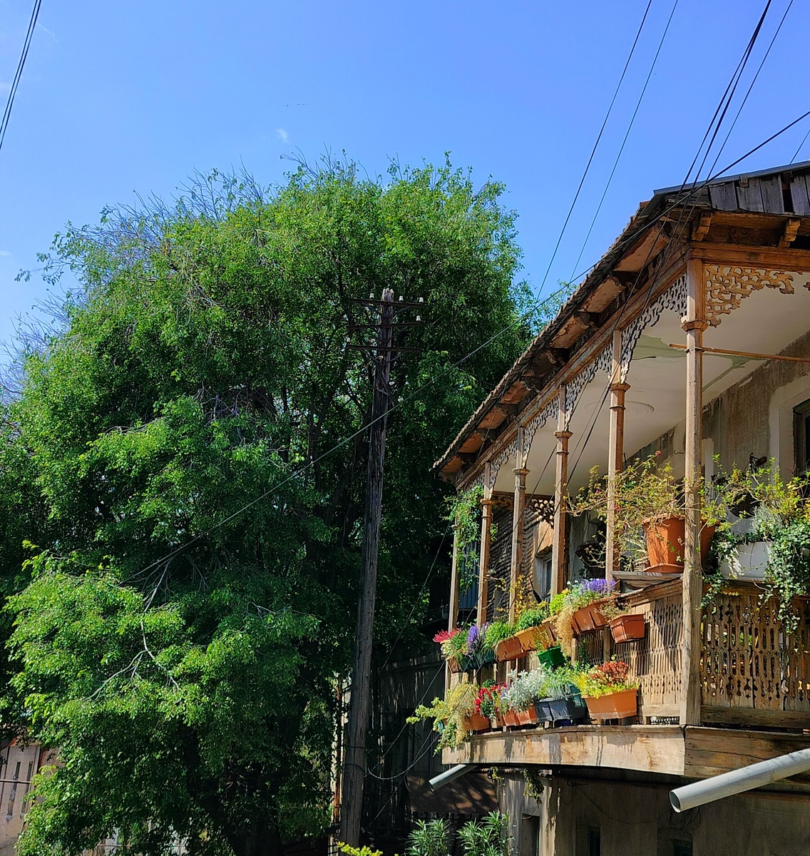 В любой жизни есть свои взлёты и падения, – как говаривал один мой знакомый лифтёр.“ —  Альфонс Алле