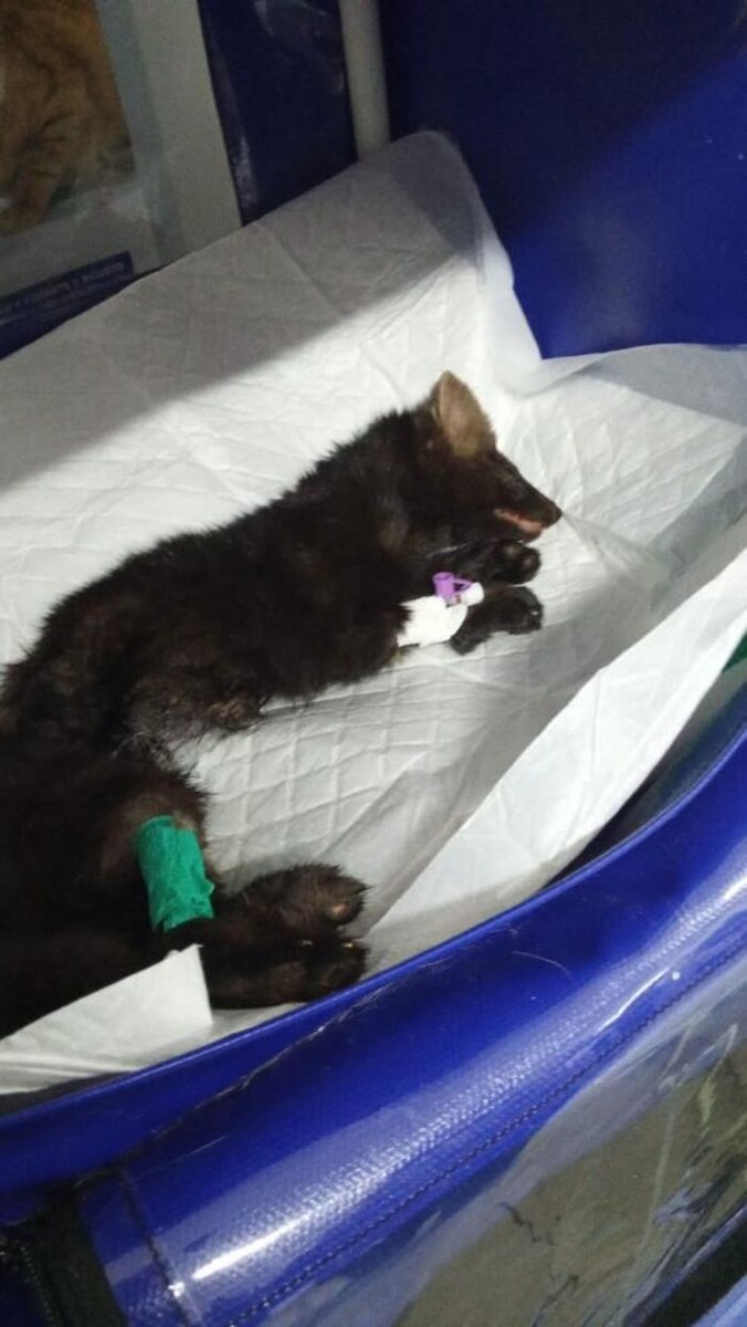 Источник фото: © «Панорама»