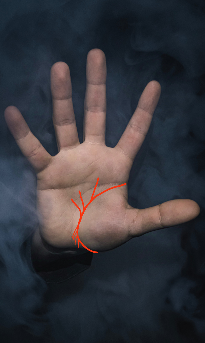 Фото из интернета 