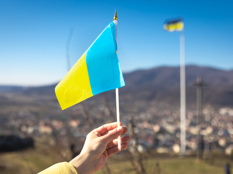 Фото: freepik.com
