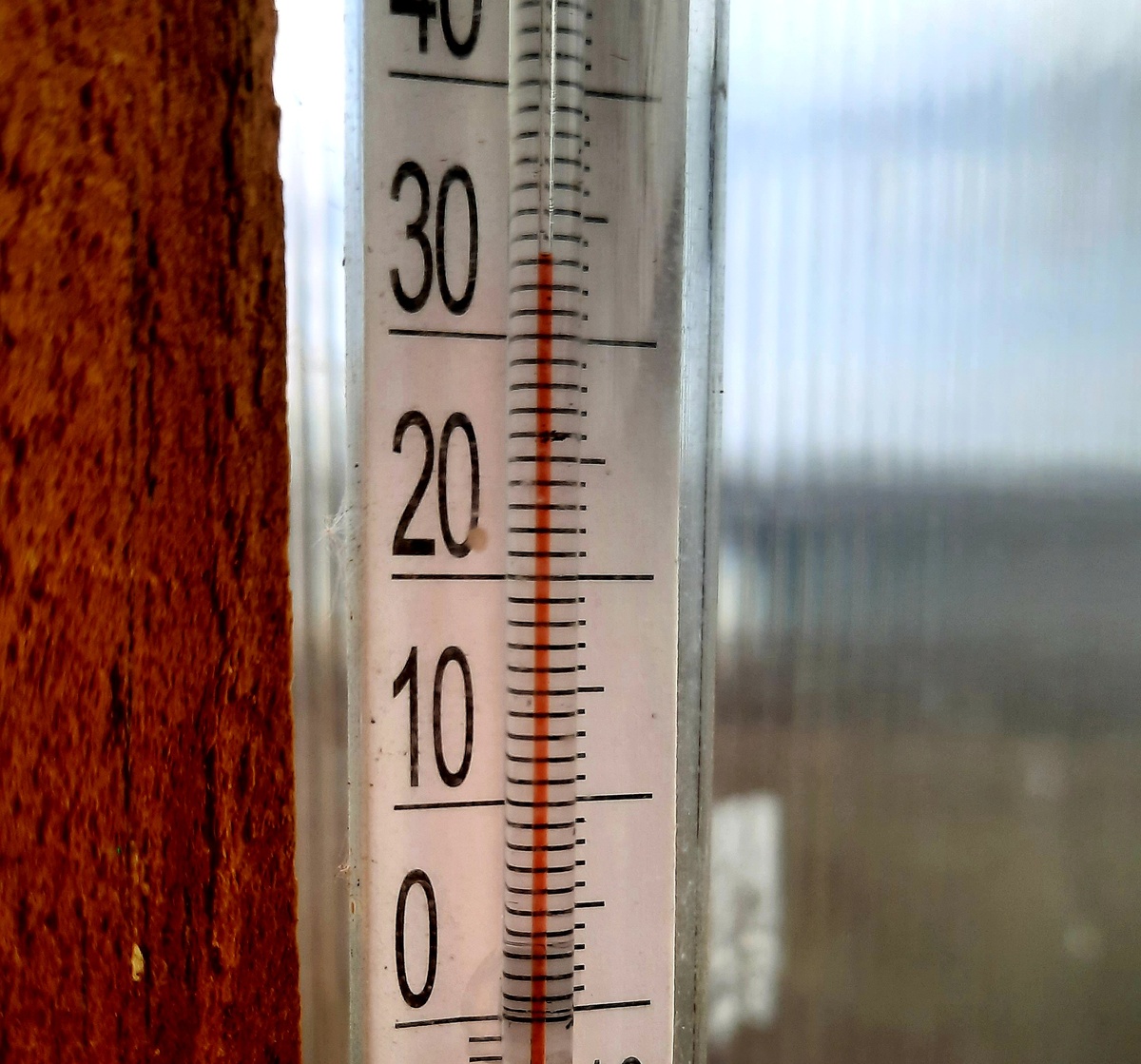 Фото автора. Температура в теплице даже без наличия солнца была выше 30⁰ С.