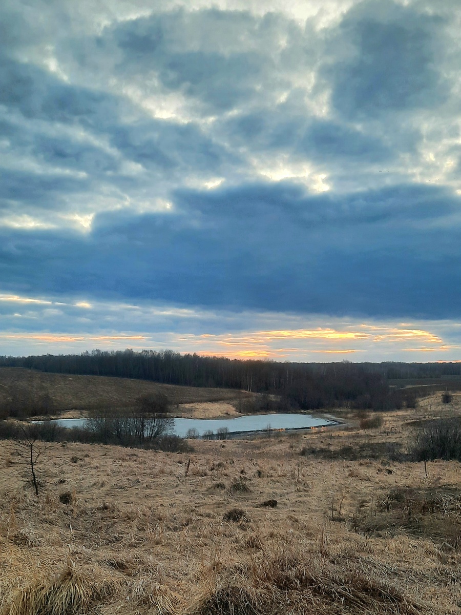 Фото автора. Конец марта 2025г. 150км на север от Москвы.