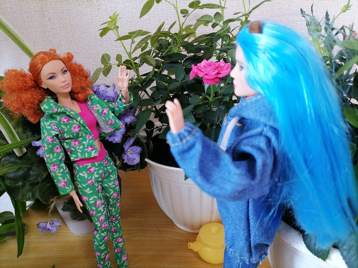 Фото автора. 