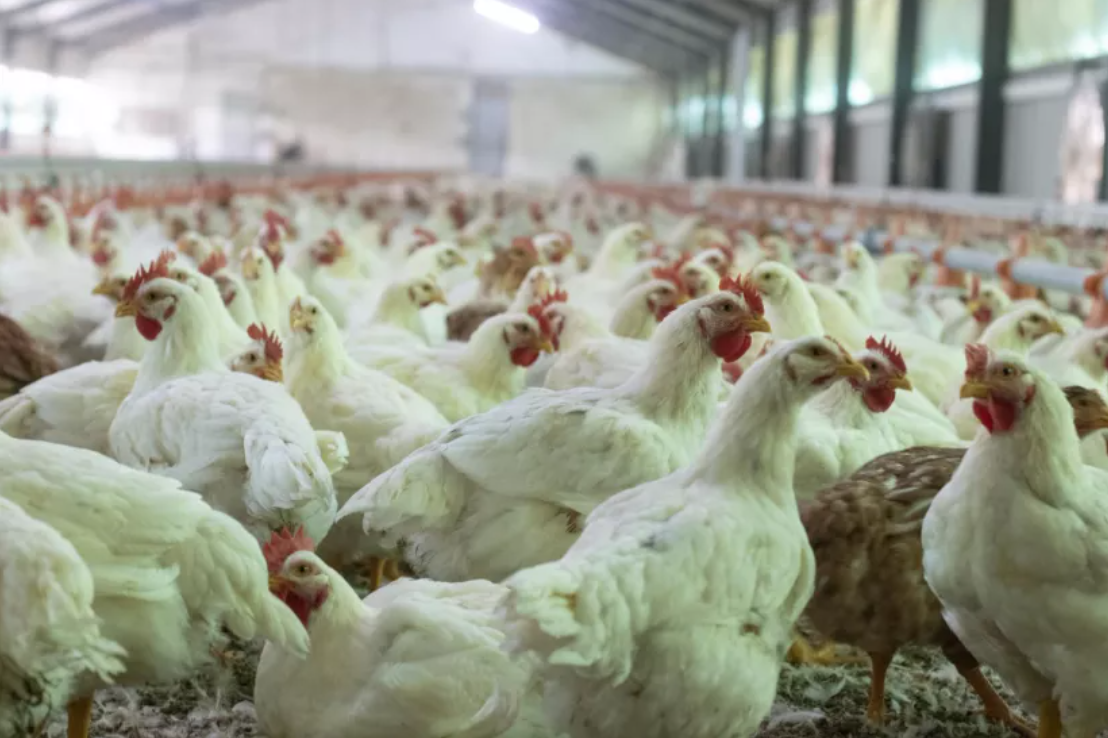 Фото: freepik.com