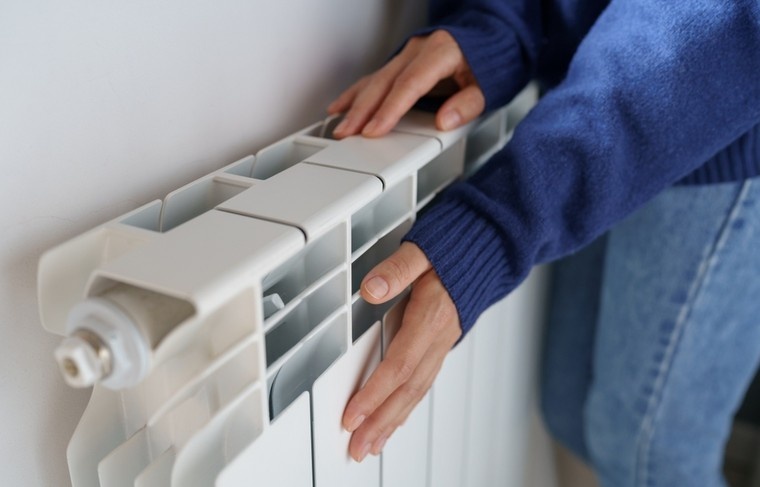    Shutterstock/FOTODOM