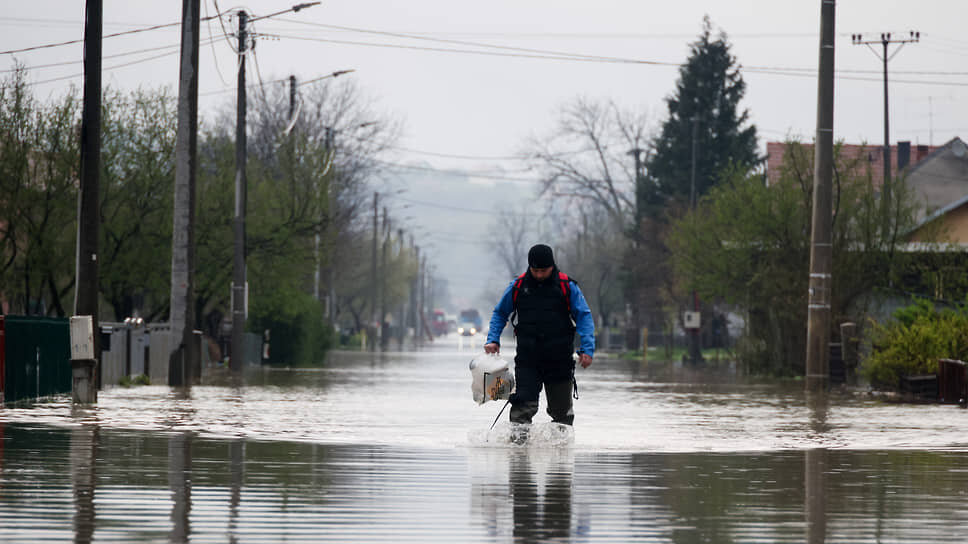 Фото: Antonio Bronic / Reuters