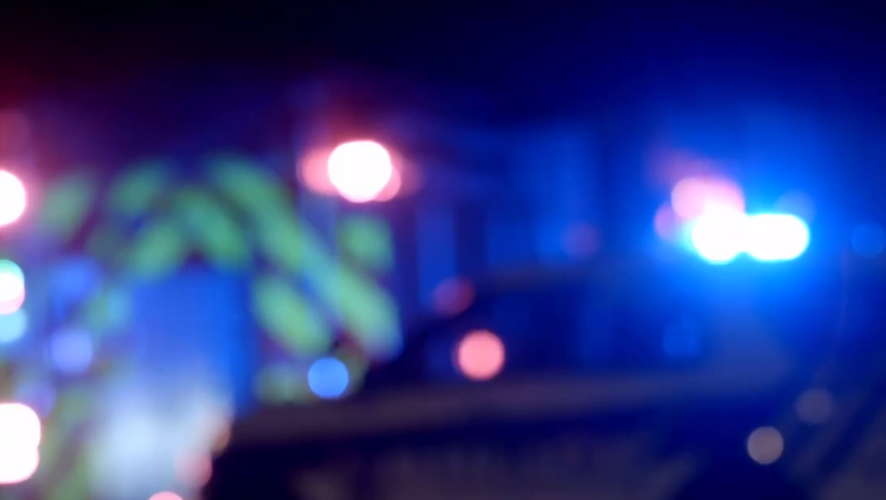    Фото: соцсети