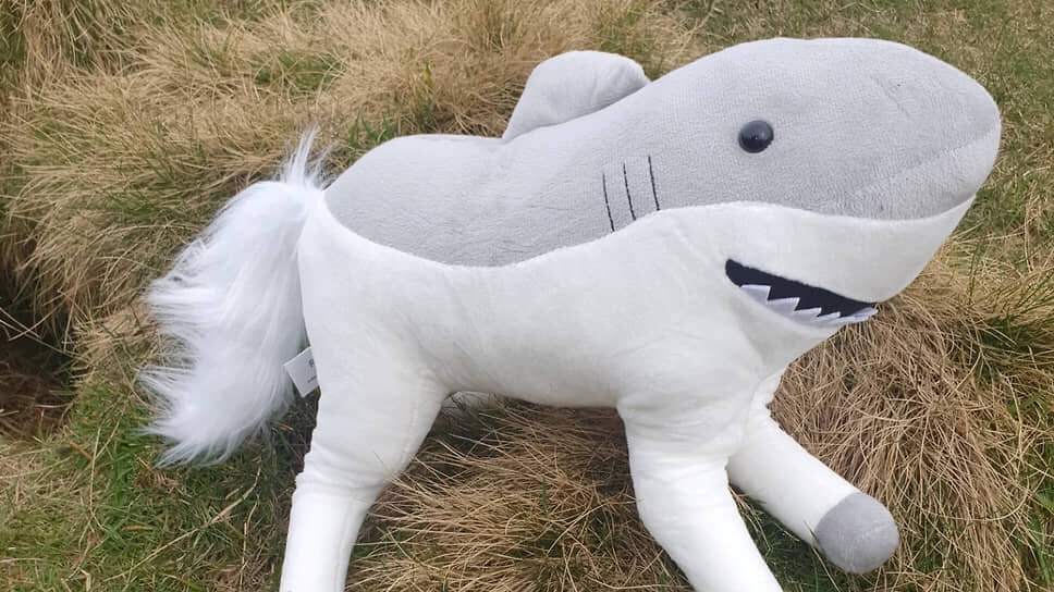 Фото: @keeleydowling / @randimals