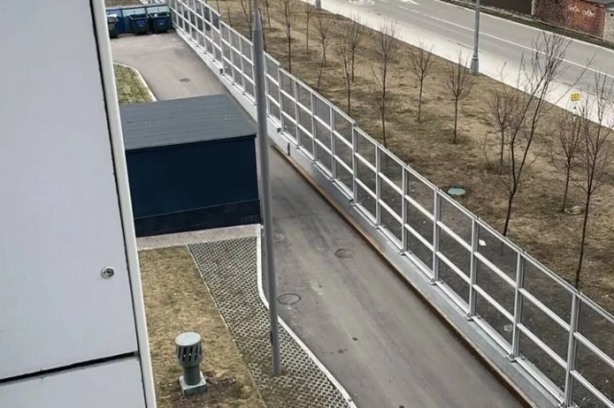    В Москве мужчина выбросил кота из окна и снял это на видео