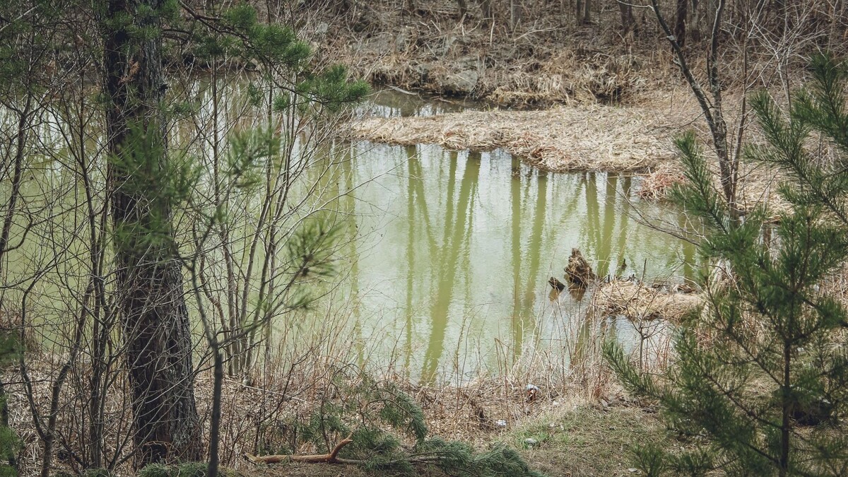     Источник: 1MI