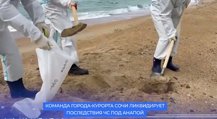    Фото: пресс-служба администрации города Сочи