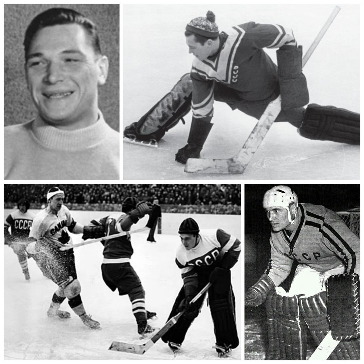 Коллаж автора. Фото взяты из открытого источника Яндекс.Картинки