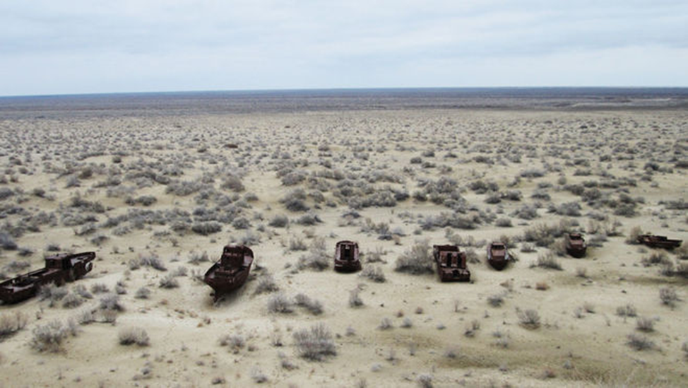 Южный Арал в районе Муйнака, Узбекистан.