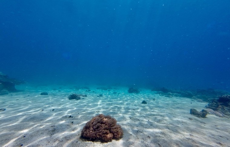    Shutterstock/FOTODOM