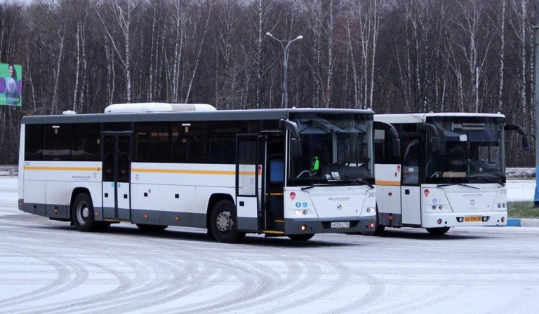    Фото: mtdi.mosreg.ru Анна Мигинеишвили