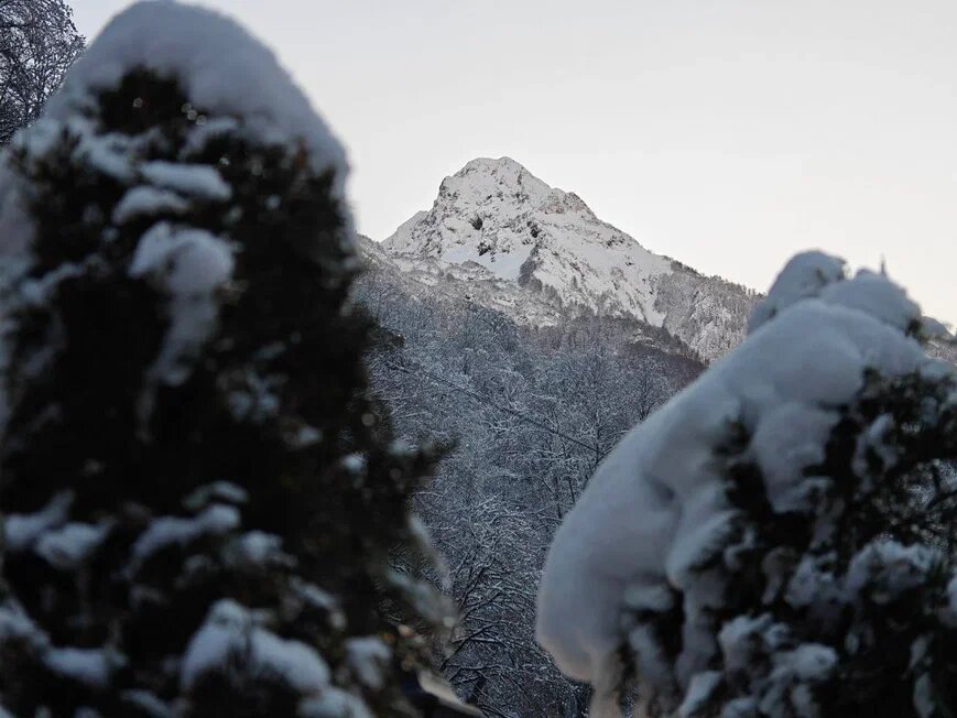    Фото: Юрий Серебренников/BFM Кубань