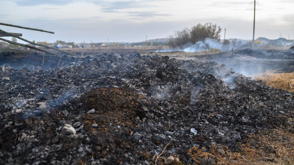 Фото: Олег Харсеев / Коммерсантъ