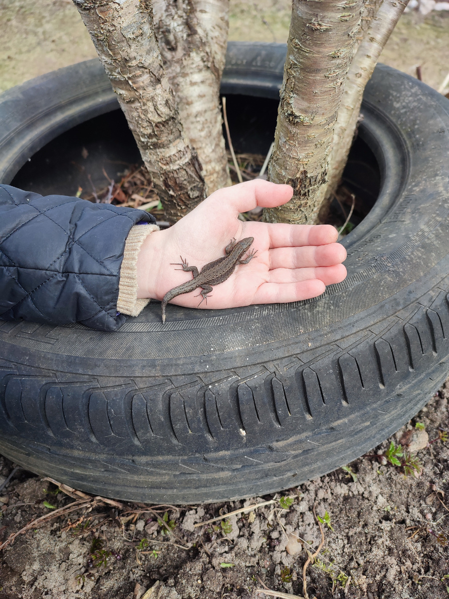 Не иначе волшебная!