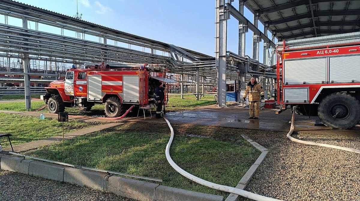 Фото: пресс-служба администрации Краснодара