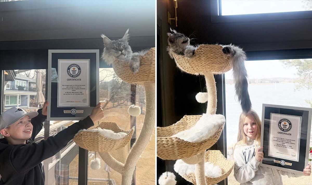 Пагсли Аддамс. Фото: www.guinnessworldrecords.com