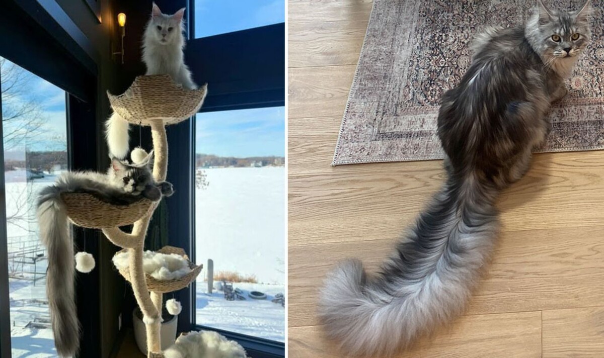 Фото: www.guinnessworldrecords.com