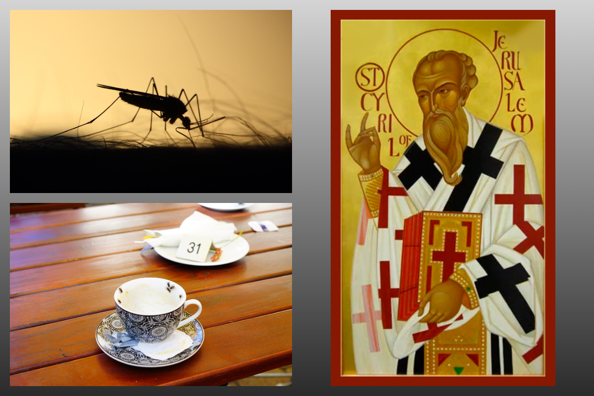Икона Архиепископ Иерусалимский Кирилл/azbuka.ru, Комар, чай/pixabay.com