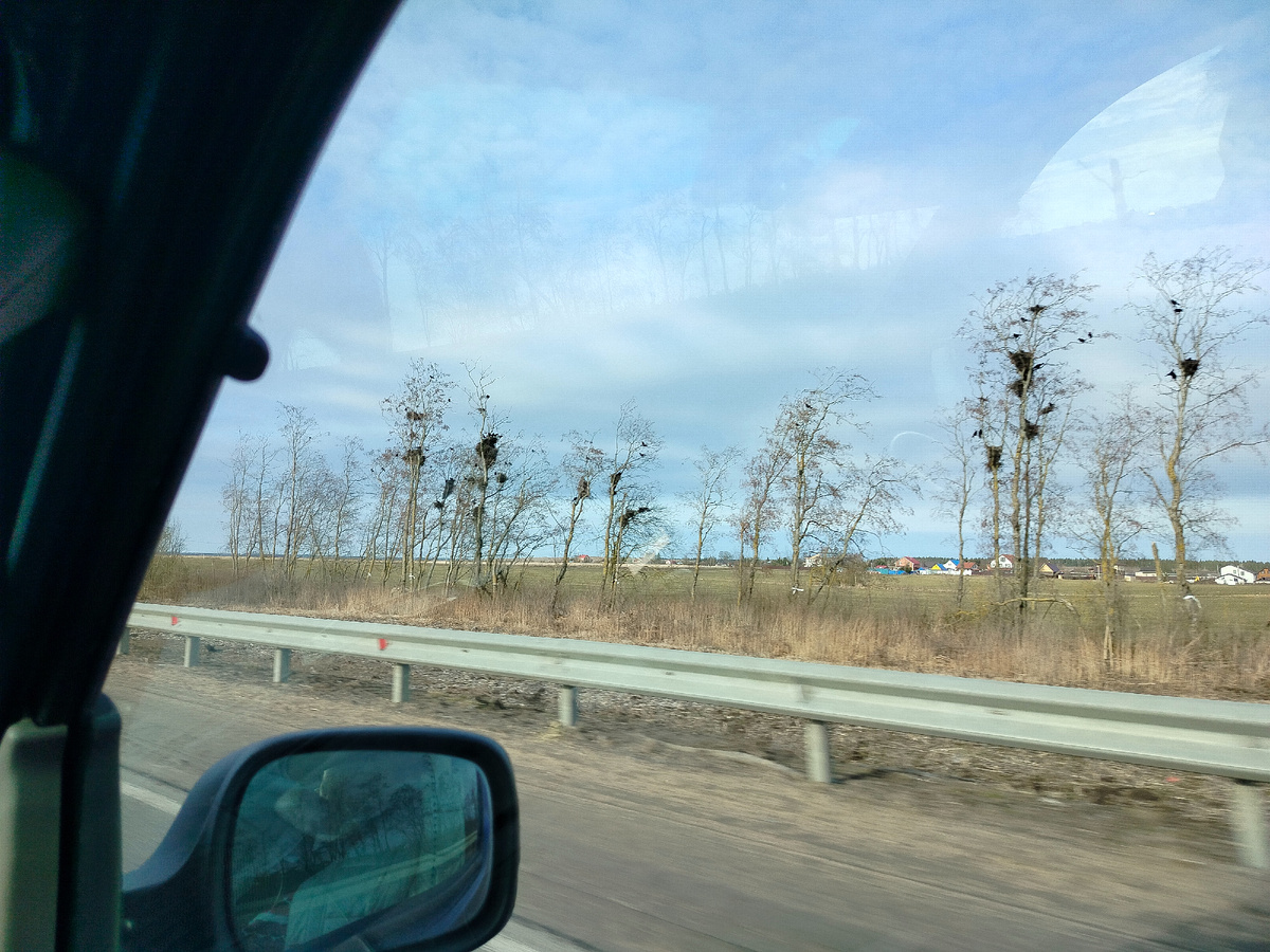 Спальный птичий район