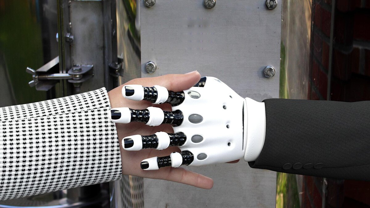    Фото: pxhere.com