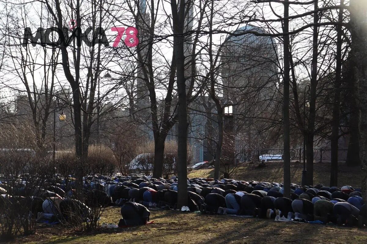    Фото: Мойка78