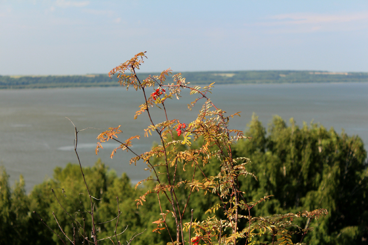 Галичское озеро, Костромская область