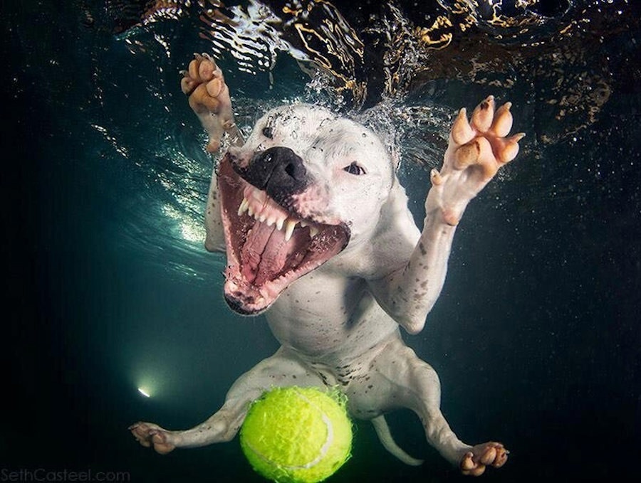 Фото из интернета.