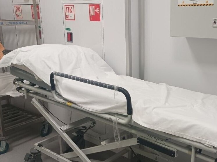     Донорскую микробиоту стали применять во время депрессивных состояний. Фото: Архив МК в Великом Новгороде