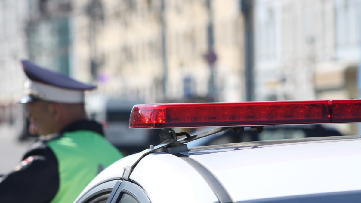 Фото: ИА «Тульская пресса»📷
