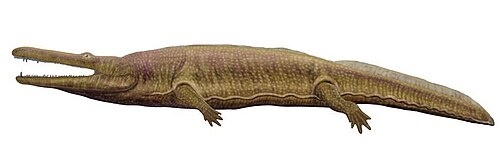 Реставрация прижизненного облика циклотозавра.