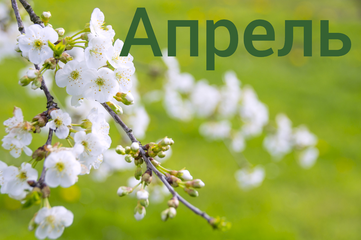 #нумерологический_гороскоп на апрель 2025 года