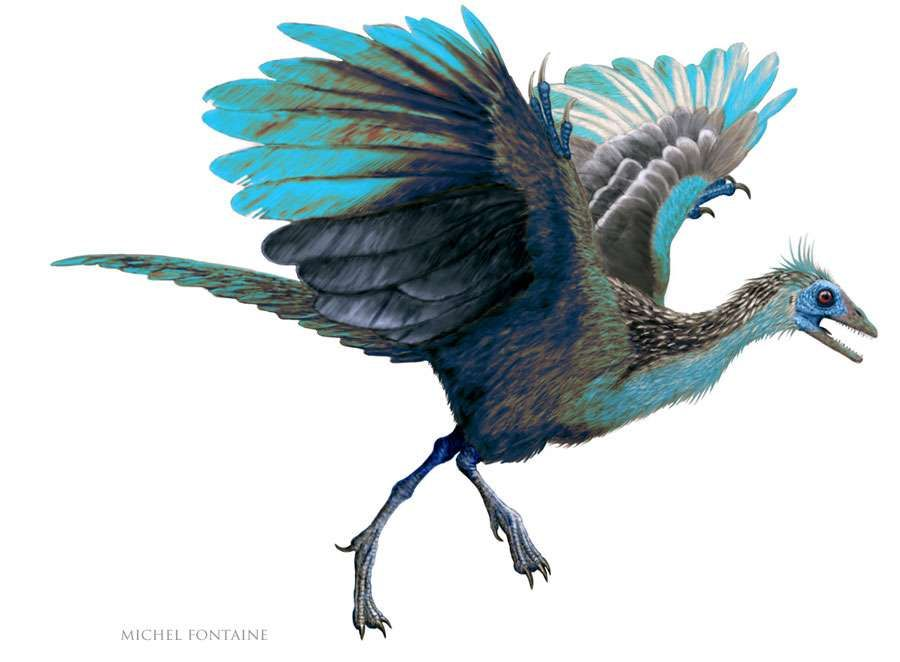 Почти как нынешний! Это археоптерикс