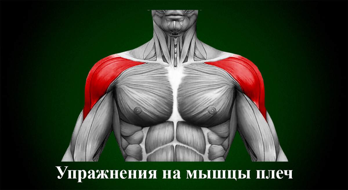 Упражнения на мышцы плеч