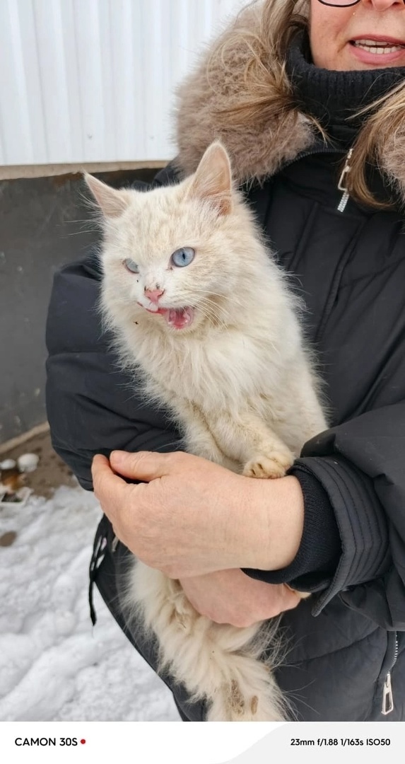 Фото из прошлой теперь жизни