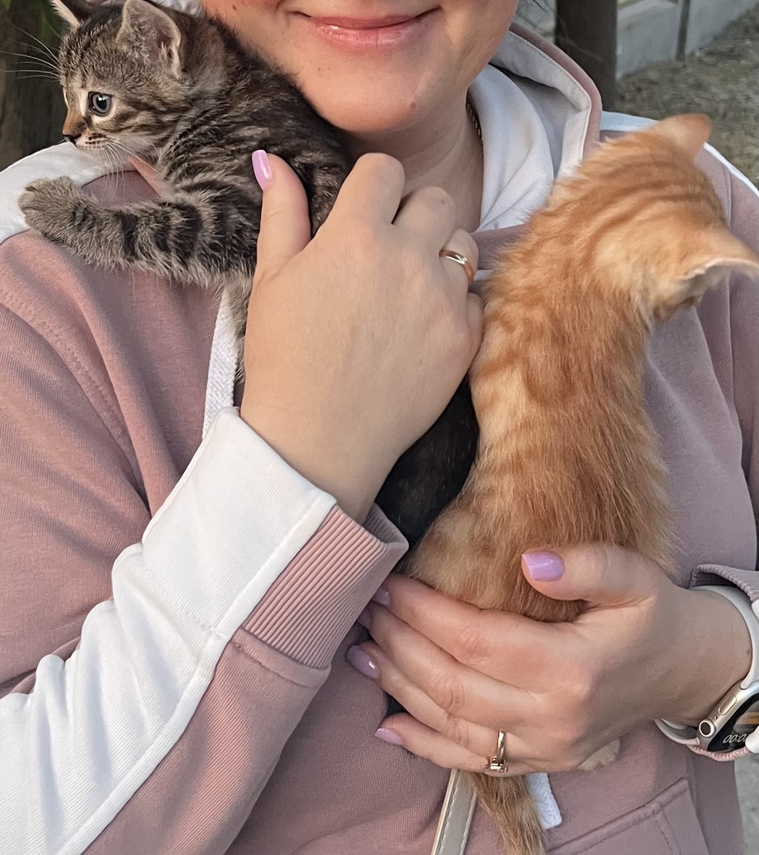 Первое знакомство и любовь с первого взгляда