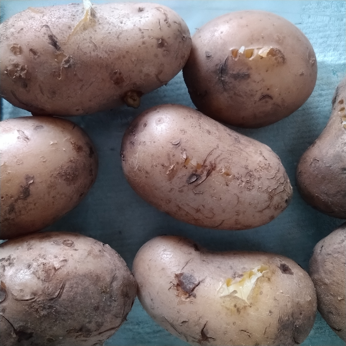 Картошка, отваренная в мундире