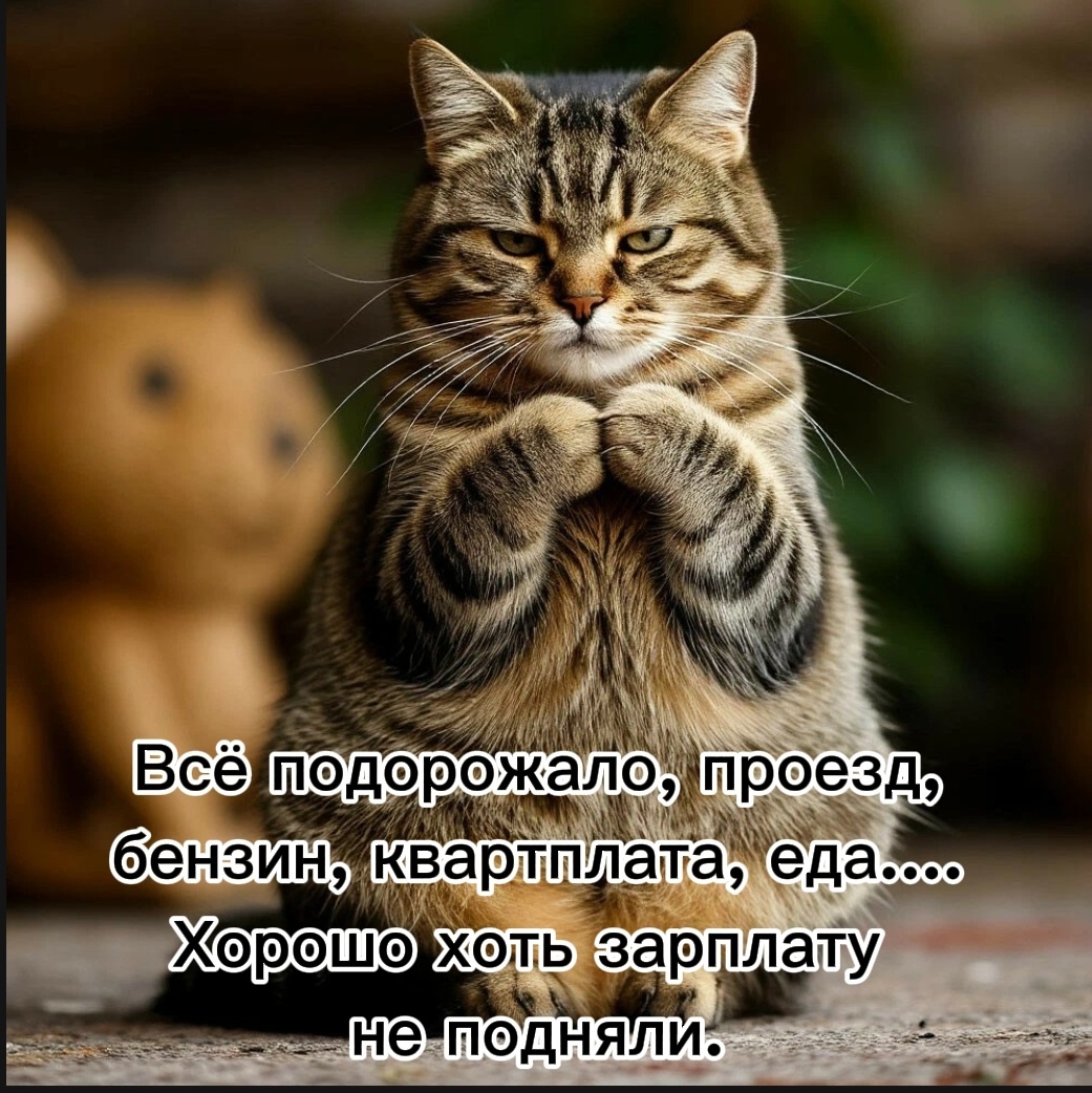 Картинка создана ИИ и автором
