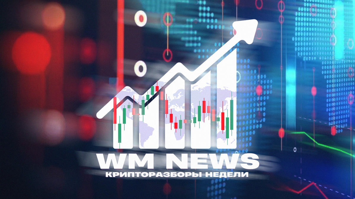 WM NEWS • выпуск №6