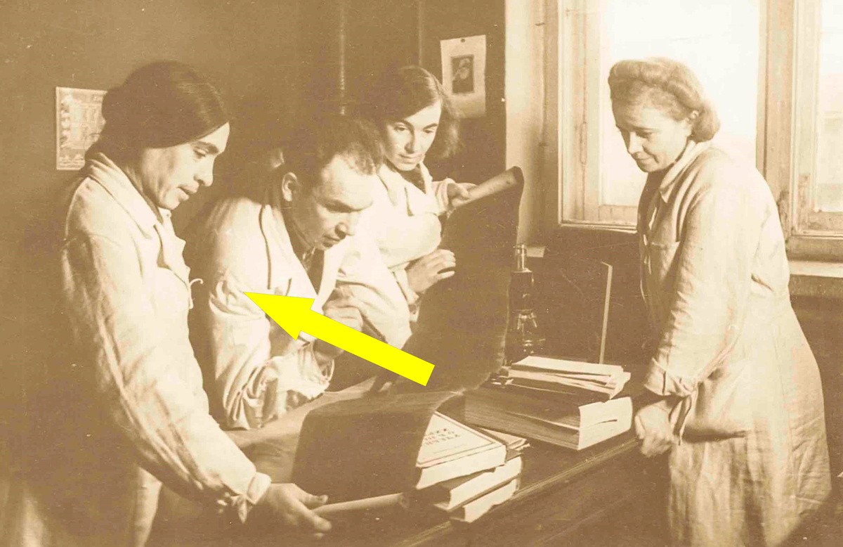    Зинаида Ермольева: Легенда блокадного Ленинграда и "Королева микробов"