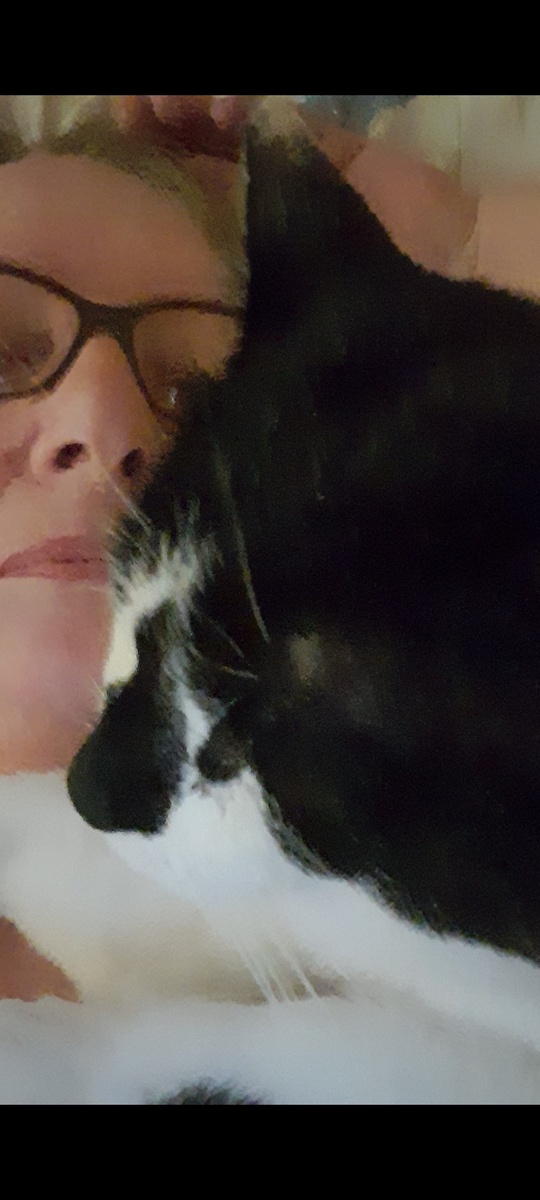 Фото автора.  Раннее утро