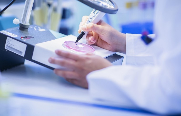    Sigrid Gombert/imagebroker/Global Look Press