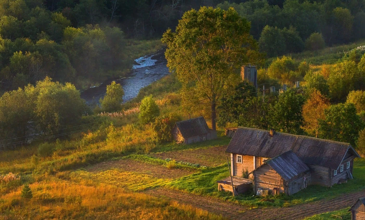 Яндекс картинки